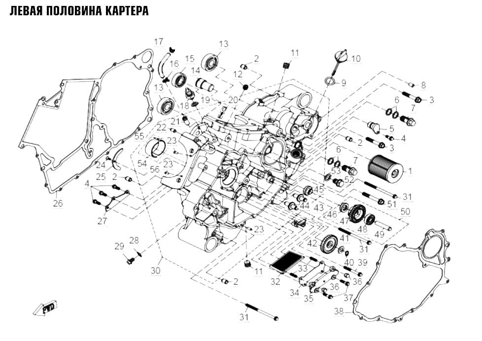 ЛЕВАЯ ПОЛОВИНА КАРТЕРА